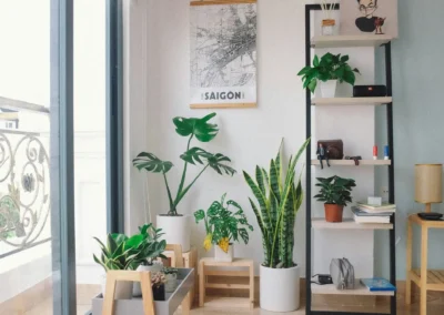 Inspirasi 7 Tanaman Hias Indoor untuk Rumah Nyaman dan Stylish